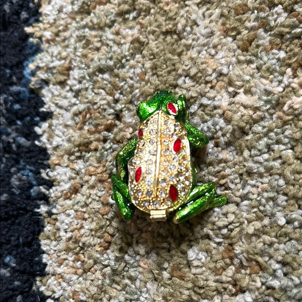 None adorable frog